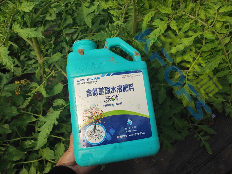 水溶肥的合理價格是多少？聽聽種植戶怎么說