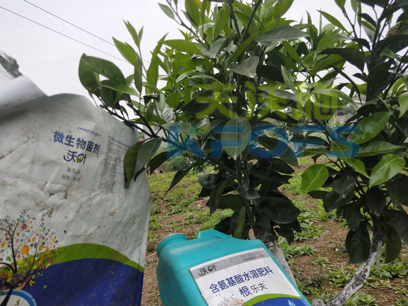 春季果樹用什么肥料好？看看您用對(duì)了嗎？