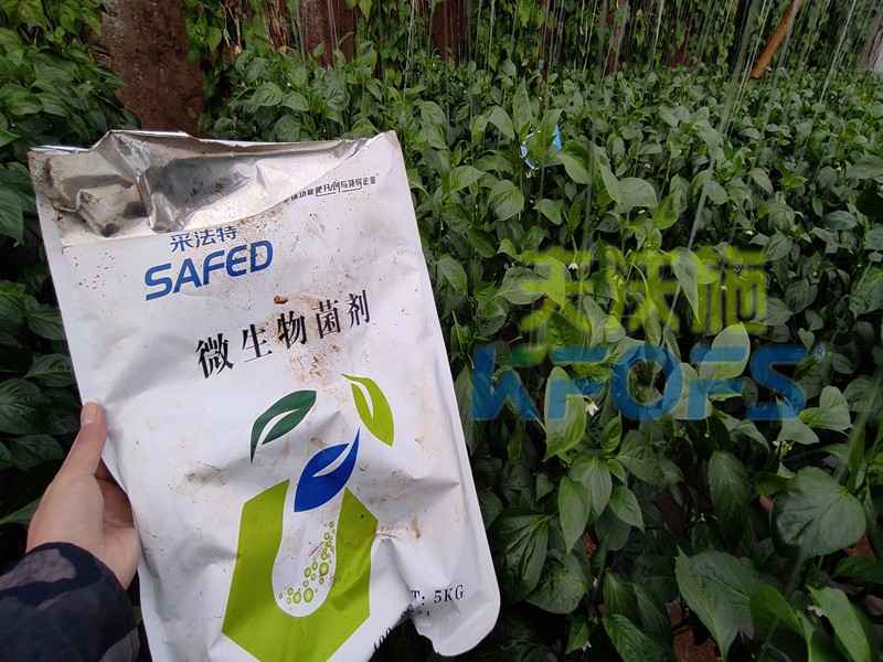 微生物菌劑，你不知道的秘密在這里！