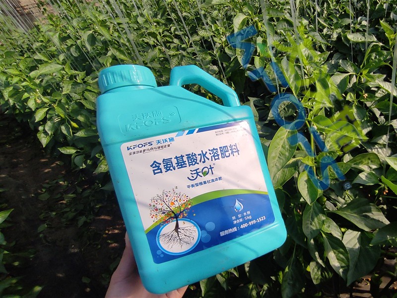 水溶肥與沖施肥有什么區(qū)別？