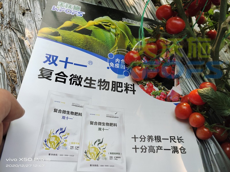 雙十一復合微生物肥料讓番茄色澤好