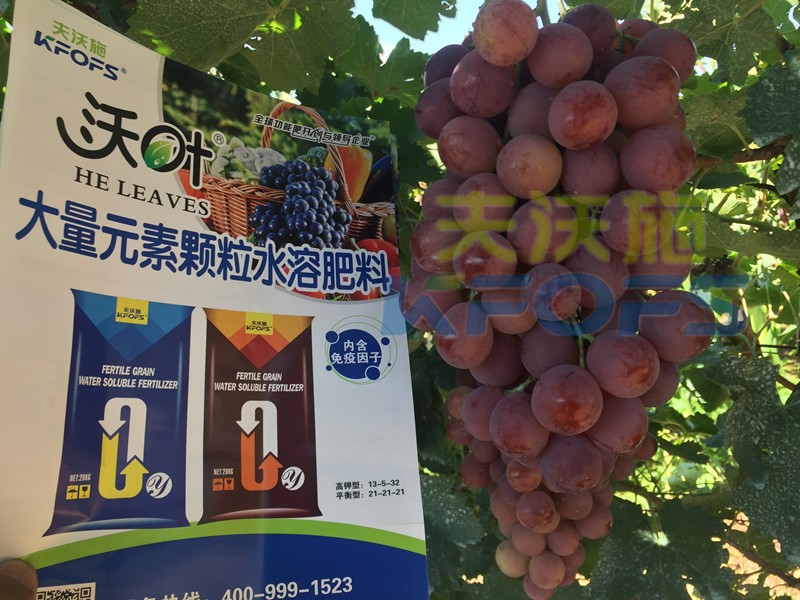 果樹沖施肥怎么樣沖，才能有好效果呢？