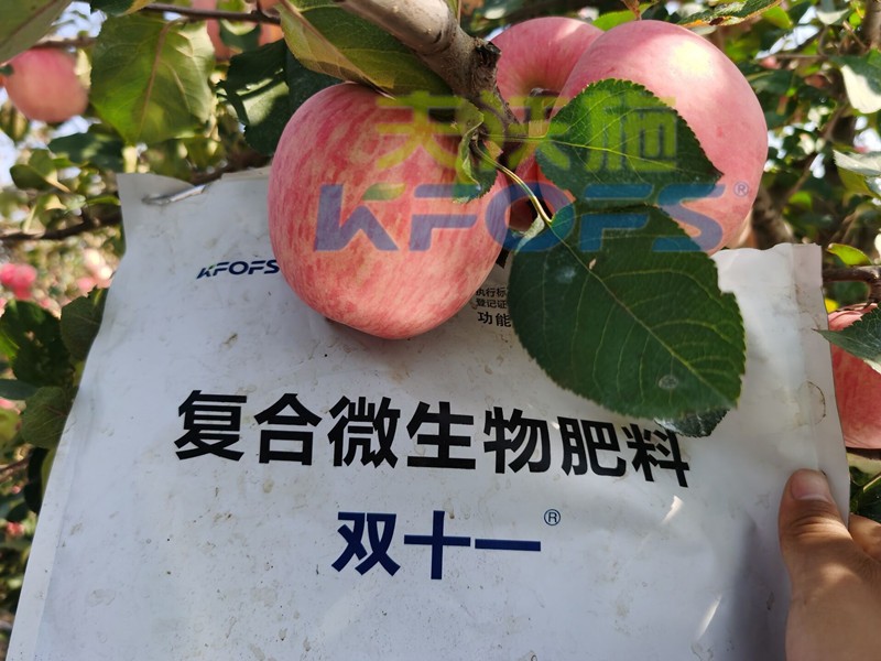 什么樣的水溶肥廠家值得客戶長(zhǎng)期跟隨？