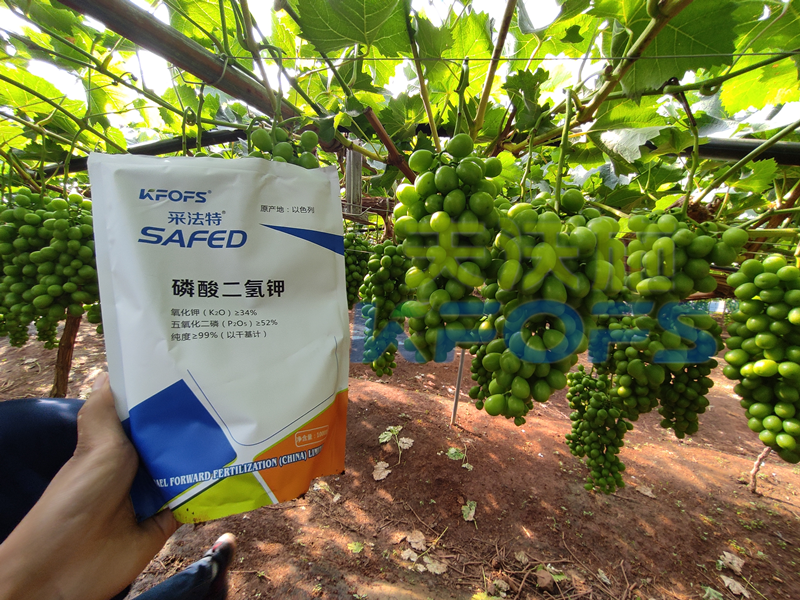 水溶肥競爭那么大，農資經銷商如何打破困境？