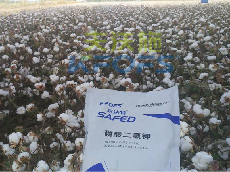 水溶肥哪家好？楊老板說(shuō)他只信賴采法特！