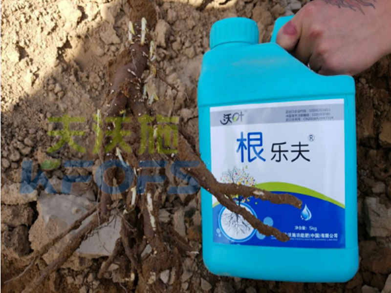 水溶肥越來越難做，他竟然能如此輕松？讓我們一探究竟！