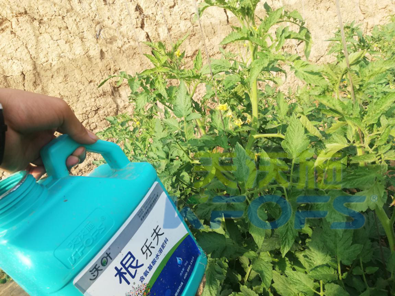生根劑用多了燒根嗎？