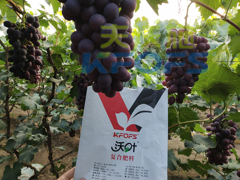 水溶肥和復(fù)合肥哪種便宜