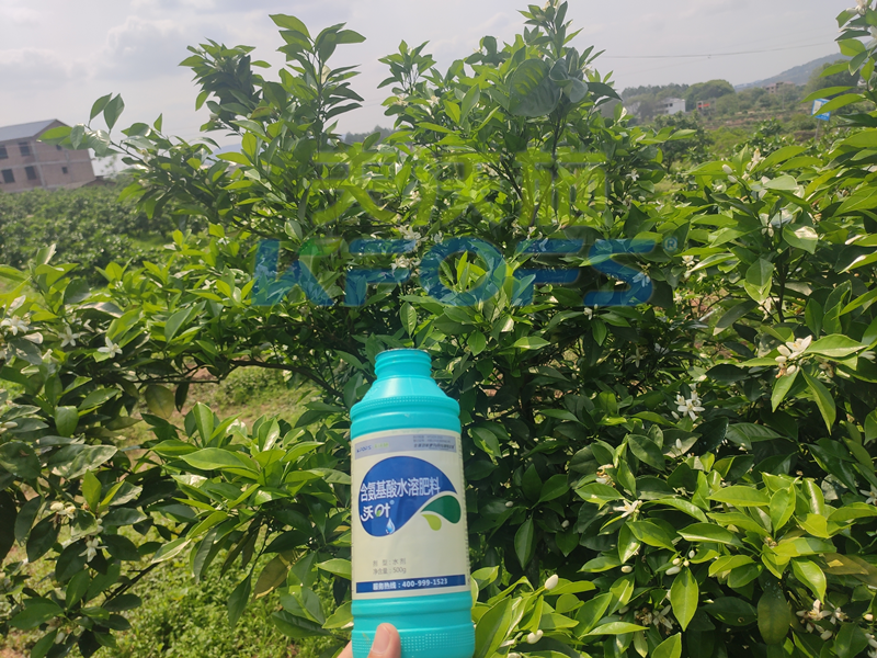 氨基酸水溶肥作用強(qiáng)，果樹用它效果好