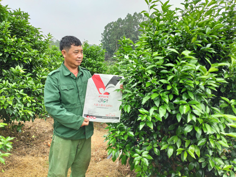 水溶肥品牌的選擇，種植戶有發(fā)言權(quán)