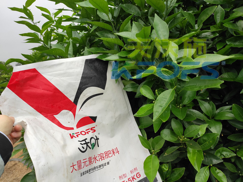水溶肥的利弊，你了解多少？
