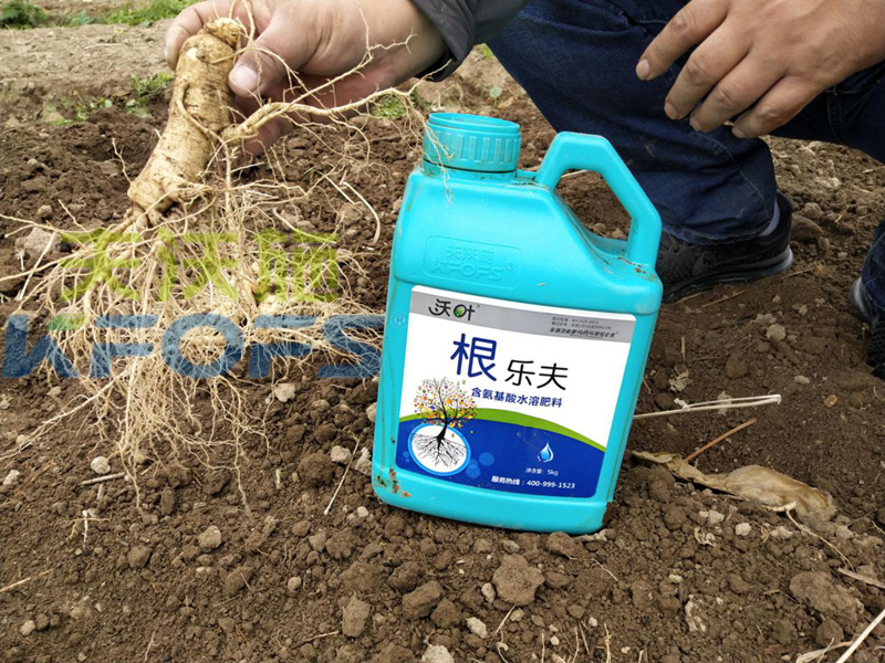 沃葉水溶肥怎么樣？聽聽種植戶的回答