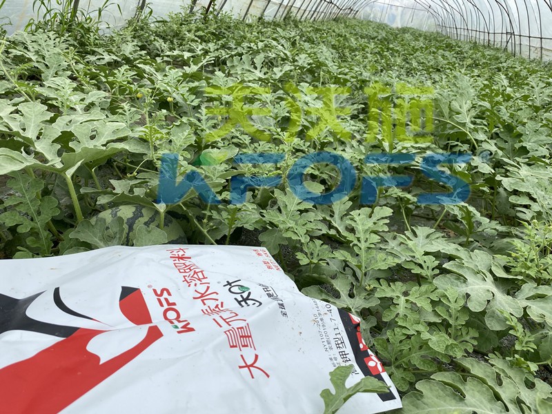 沃葉水溶肥怎么樣？這么多種植戶選擇