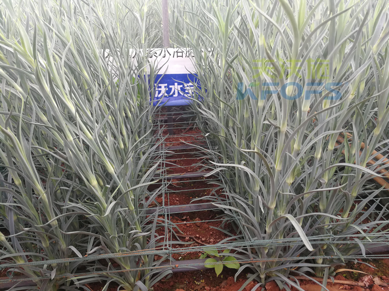 進(jìn)口水溶肥真的好過國產(chǎn)嗎-沃水寶大量元素1.png