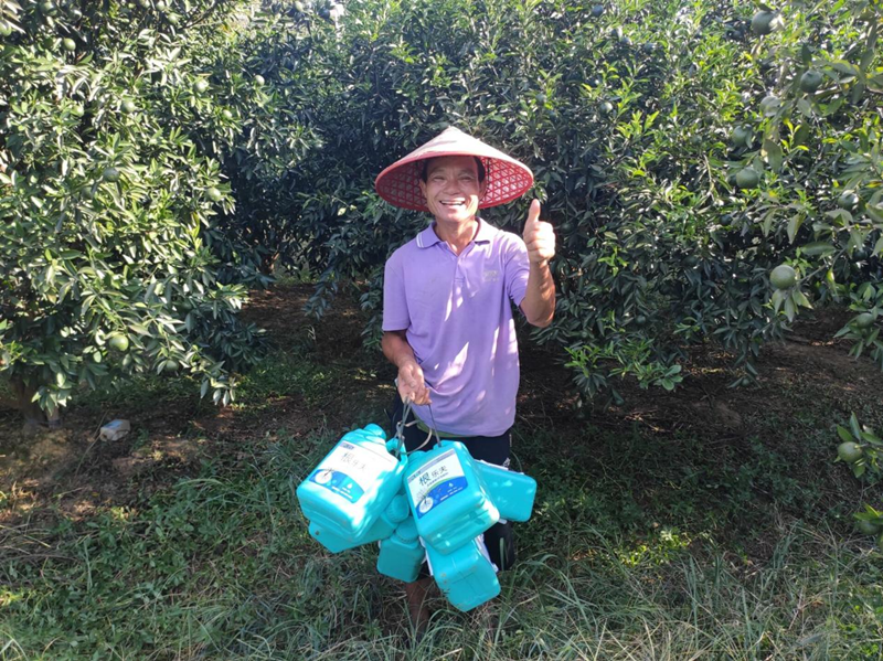 柑橘黃化的原因及解決方法，不要錯(cuò)過！