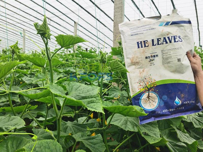 微生物菌劑哪個(gè)牌子好？莊總只認(rèn)可這款！