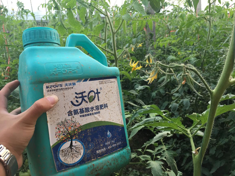 水溶肥如何在冬季使用？