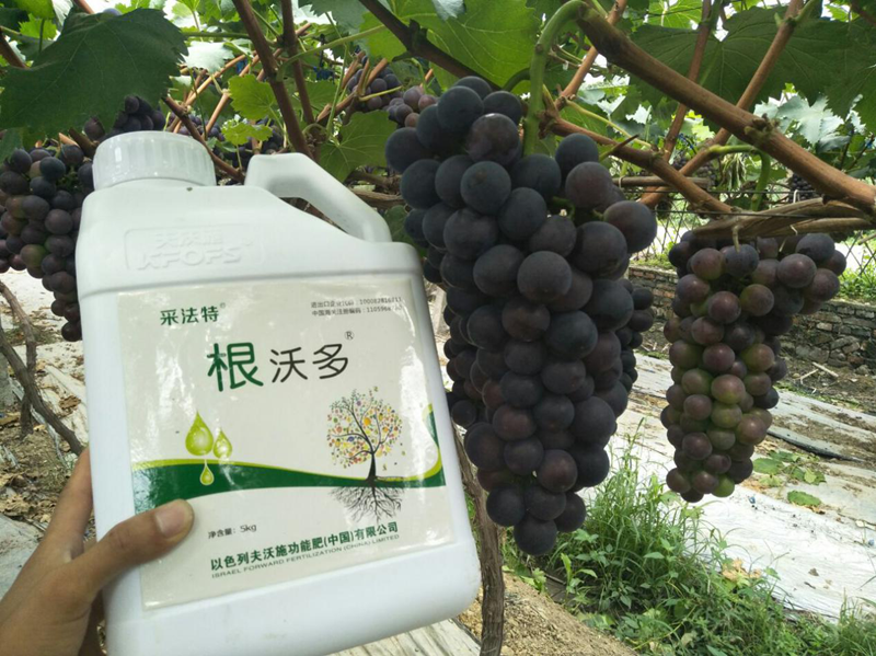 生根劑哪個(gè)好？養(yǎng)根護(hù)根很關(guān)鍵！