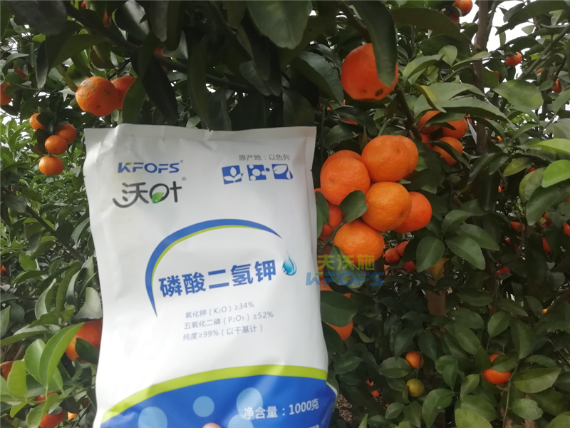 磷酸二氫鉀施用事半功倍，果樹補(bǔ)鉀應(yīng)怎么選？