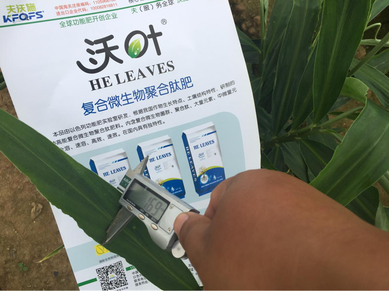都說微生物菌劑好，到底有啥用