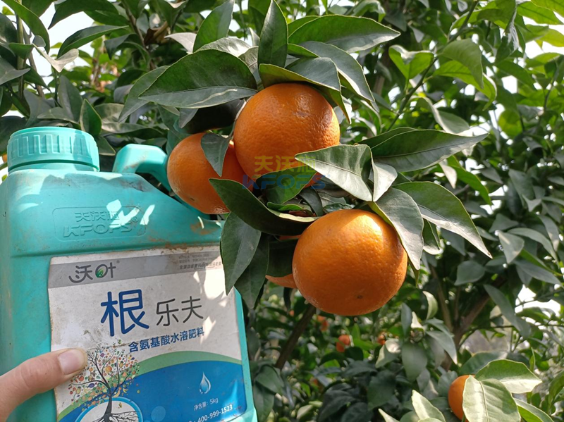 果樹春季施肥最佳時(shí)間，要把握??！