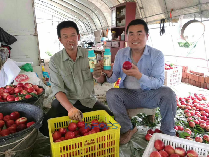 葉面肥什么時候打效果好？記住這幾個節(jié)點！