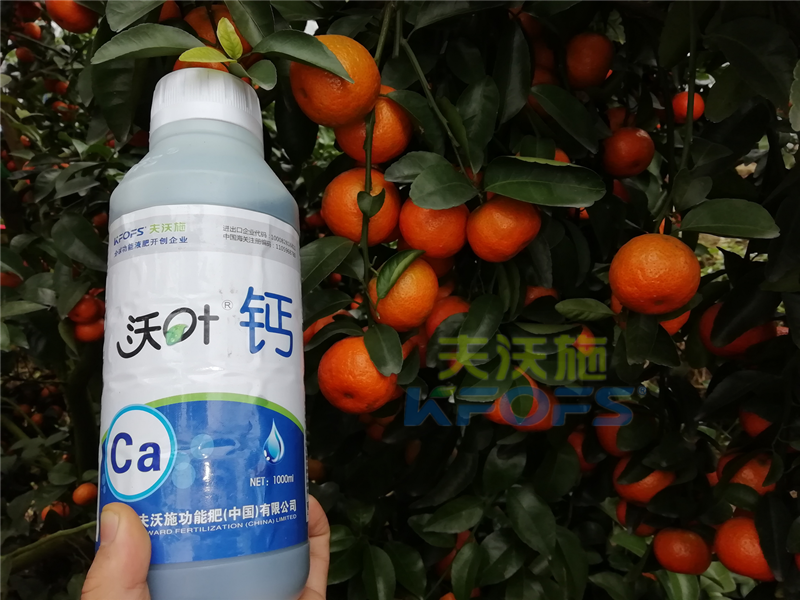 種柑橘用什么肥料好？