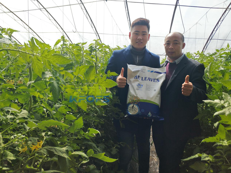 50年后的土壤如何，值得我們深思!