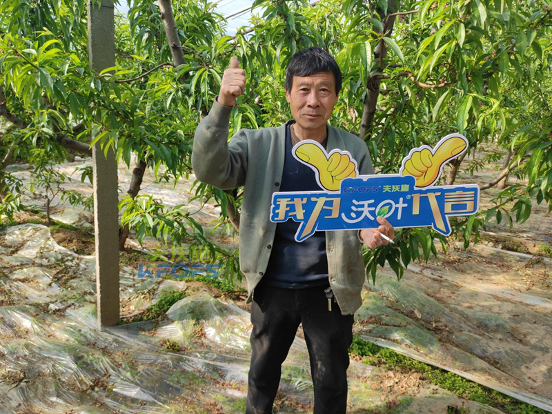 沃葉水溶肥怎么樣-沃葉用戶(hù)見(jiàn)證.png
