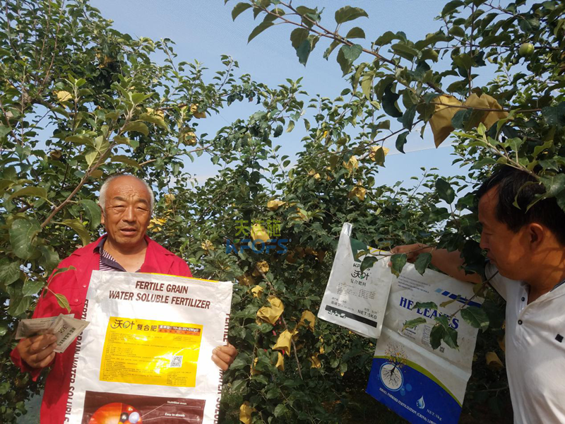 蘋果樹施什么肥好？
