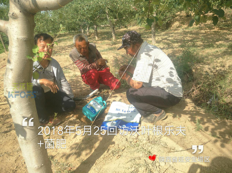 生根劑使用方法！