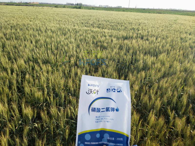 磷酸二氫鉀哪個品牌好？