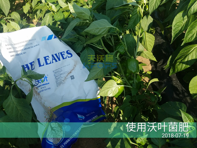 生物菌肥作用？