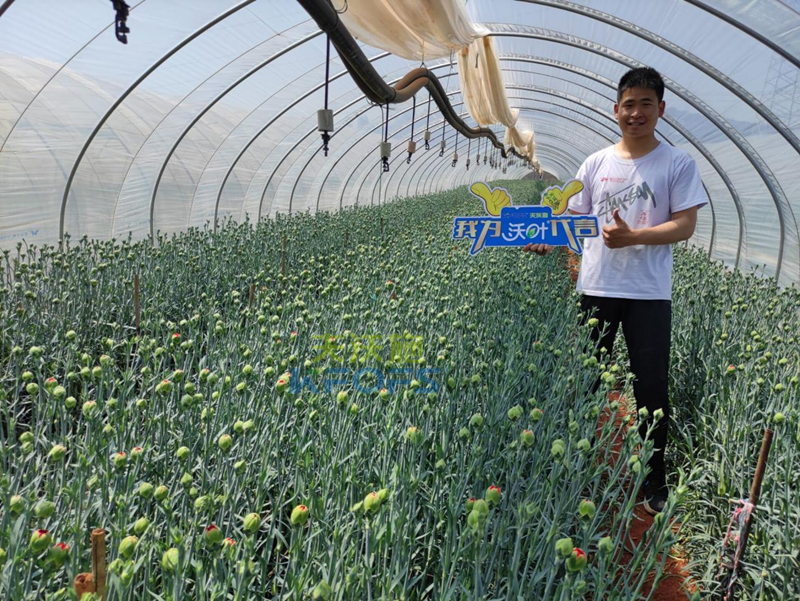 進(jìn)口水溶肥怎么選？王總的答案！