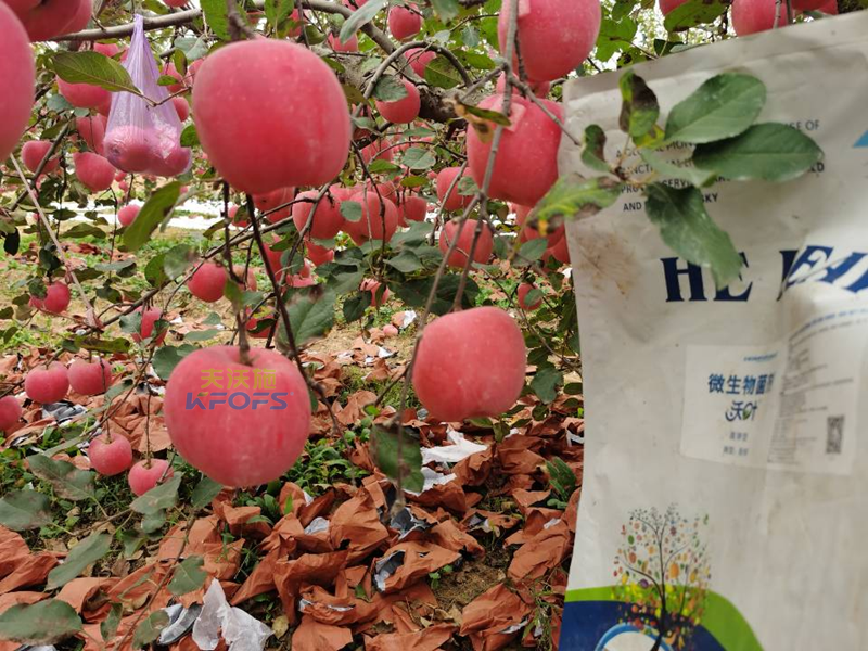 水溶肥果樹用效果好不好？