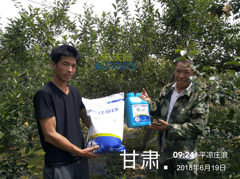 蘋果怎么施肥？