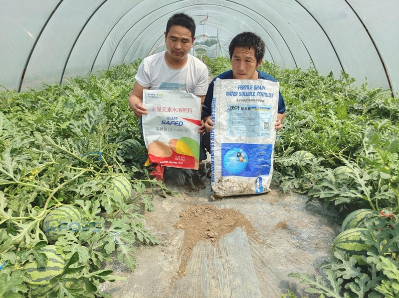 好點的水溶肥大概多少錢？夫沃施這樣說！