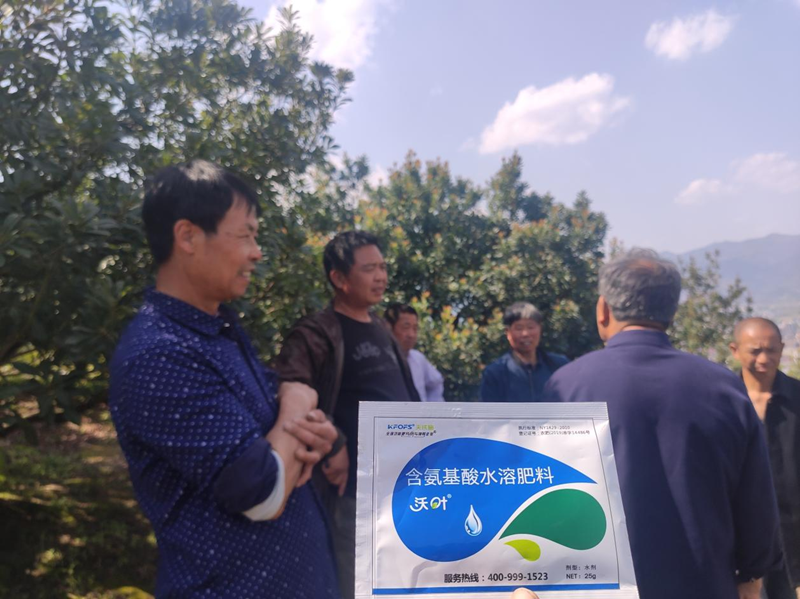 楊梅噴什么水溶肥好？