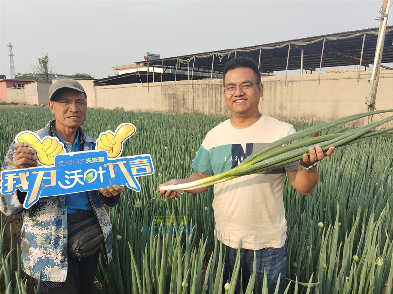 進(jìn)口水溶肥以色列夫沃施，讓更多人受益！
