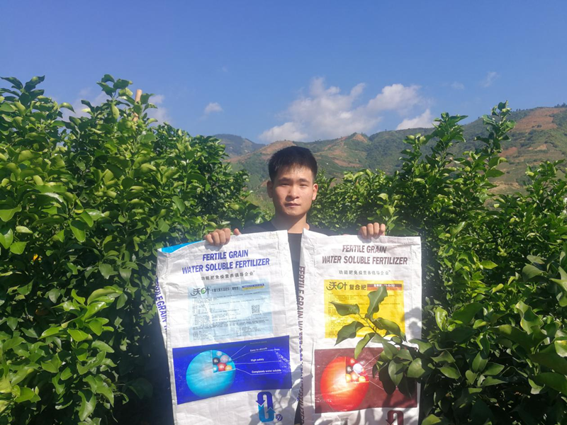 沃葉水溶肥怎么樣？聽聽他們怎么說？