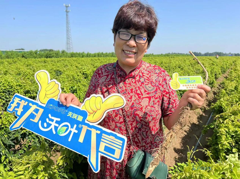 改良土壤肥料有哪些？夫沃施功能肥