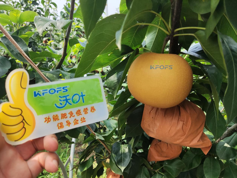 水溶肥怎么選？李總來(lái)幫你支招