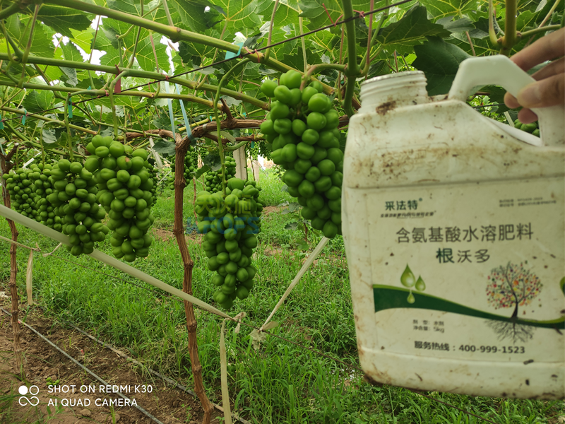 水溶肥怎么選？夫沃施告訴你這幾點(diǎn)