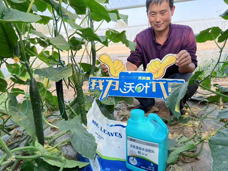 微生物菌劑越來(lái)越受歡迎的原因有哪些？