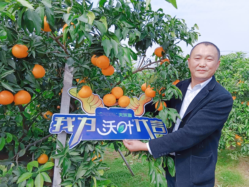 柑橘樹用什么肥料好？