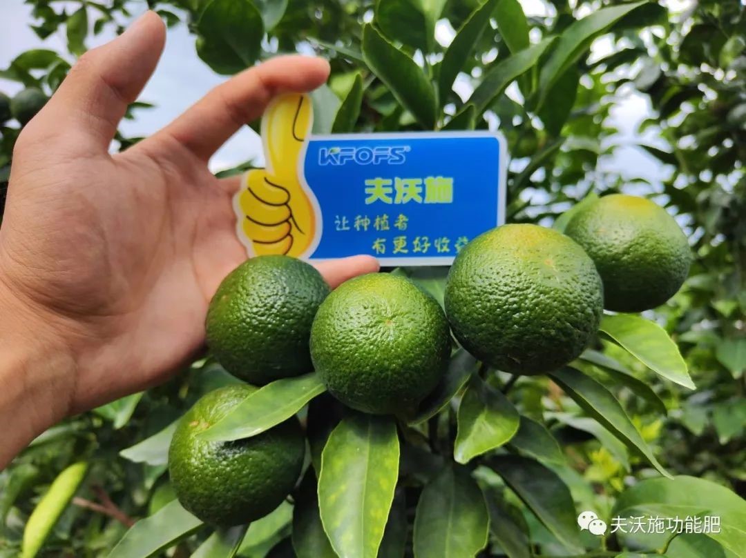 改善土壤板結(jié)用什么肥料？