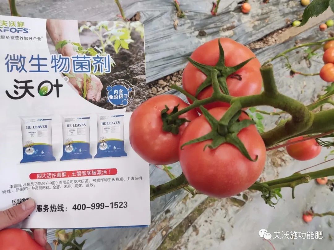 微生物菌劑選哪家？