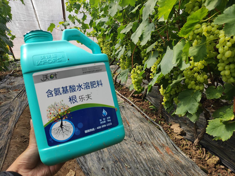 水溶肥選擇，要注意什么?