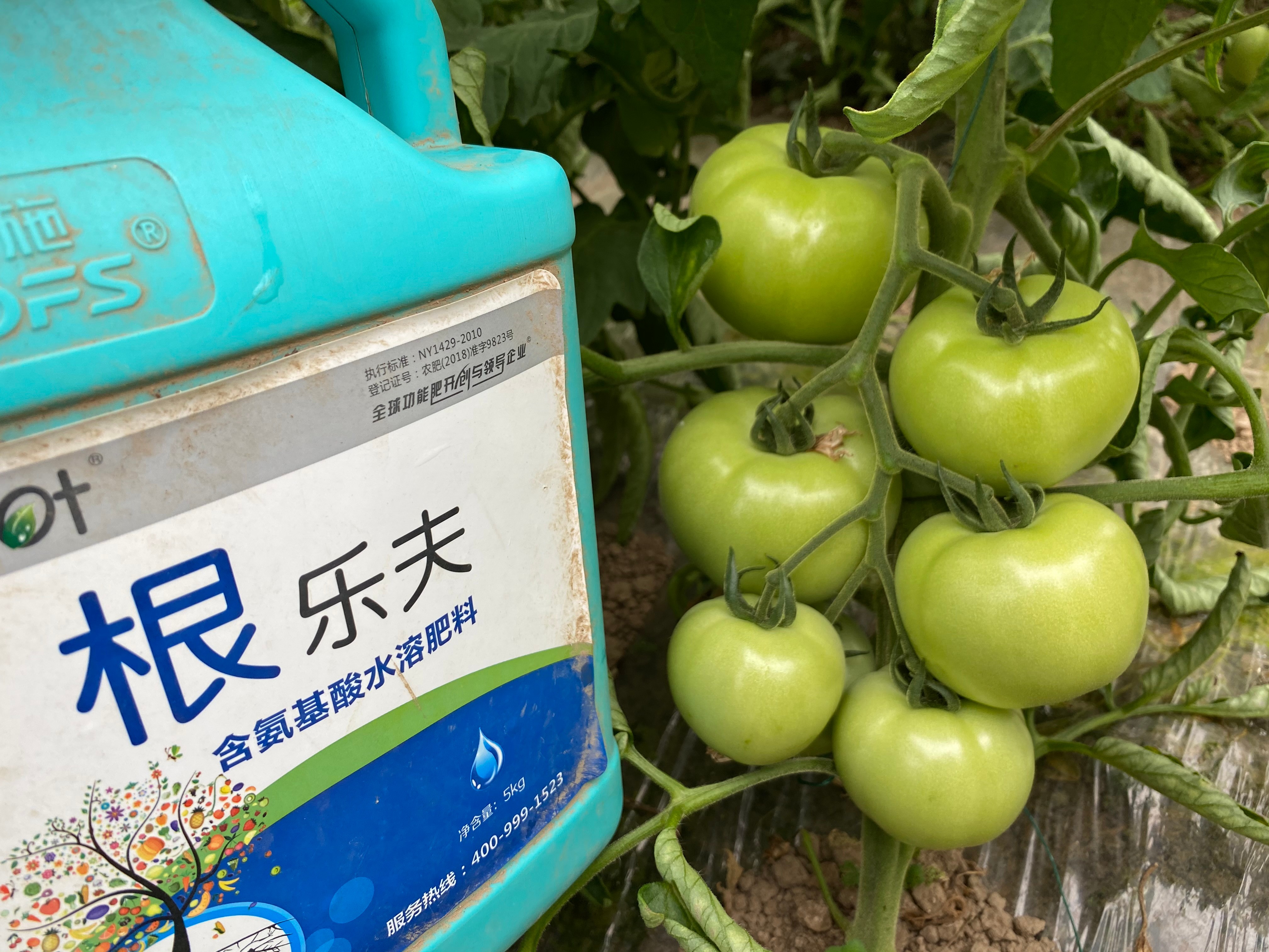 生根劑效果好不好？