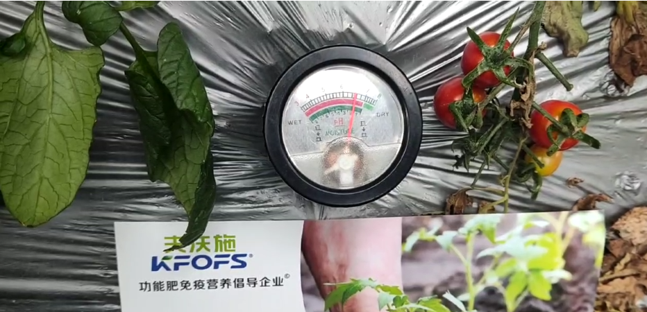 微生物菌劑，為什么被越來越多的人選擇？